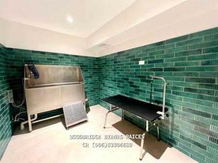 Rohrmoser Nunciatura apartamentos en alquiler, Alquiler de apartamentos CR Rohrmose|Nunciatura, Alquiler de apartamentos Rohrmoser Parkwood|en Nunciatura